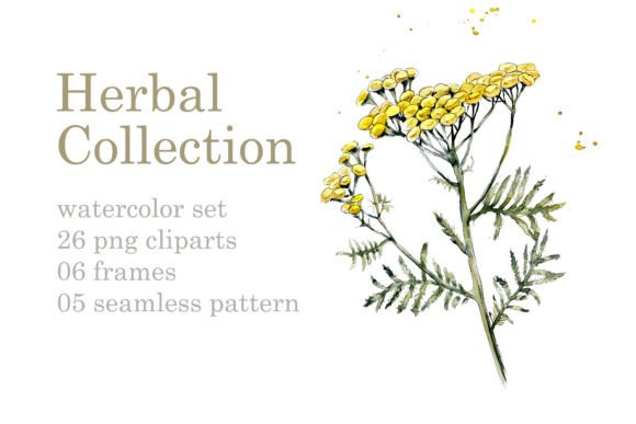 Download Collection Herb - Herb Collection