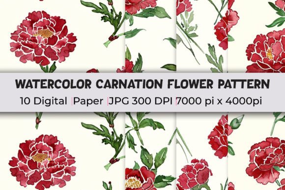 Download Carnation Flower Patterns Watercolor - Pattern Collection