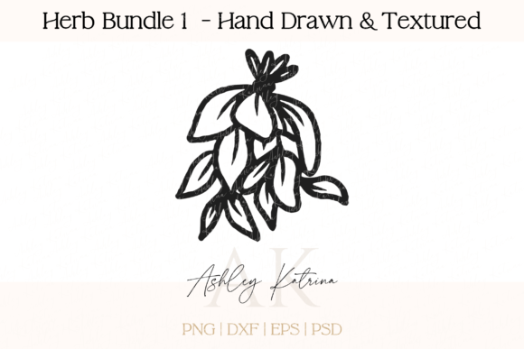 Download Herb Bundle 1 - Hand Drawn &amp; Textured - Herb Collection