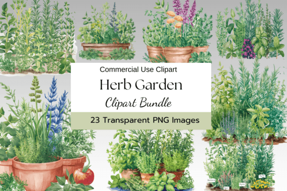 Download Herb Garden Watercolor Clipart - Premium Bundle